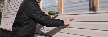 Best Siding Painting and Refinishing  in Shandon, CA